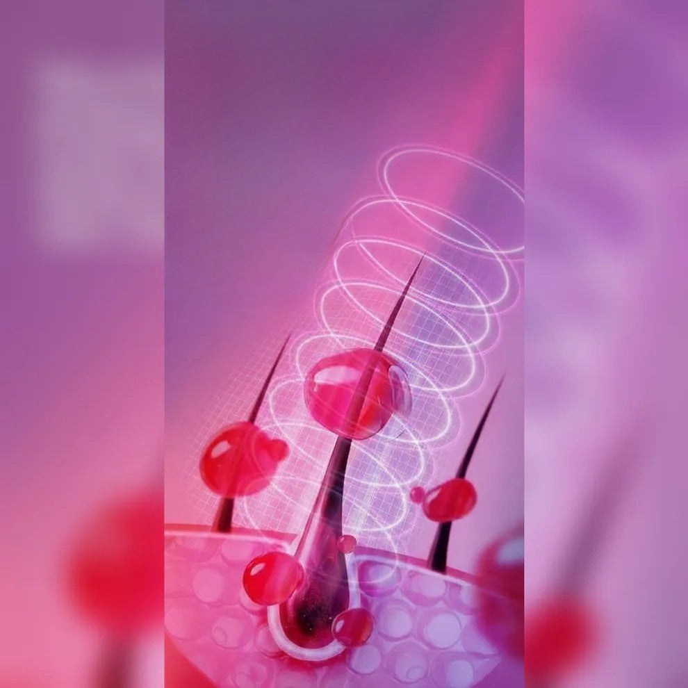 2 in 1 Electric Hair Oil Applicator and Scalp Massager